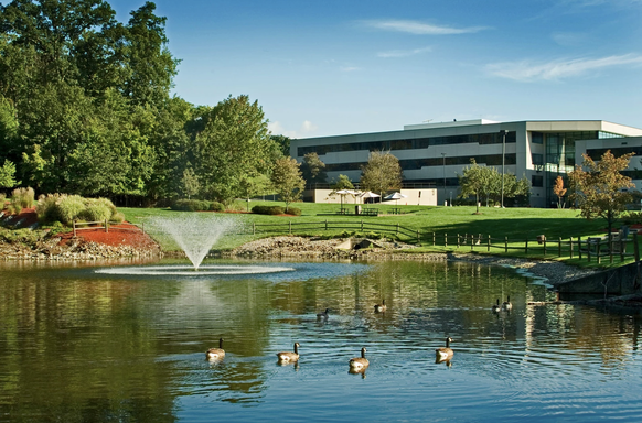 screenshot-2024-09-12-at-6-55-42-pm